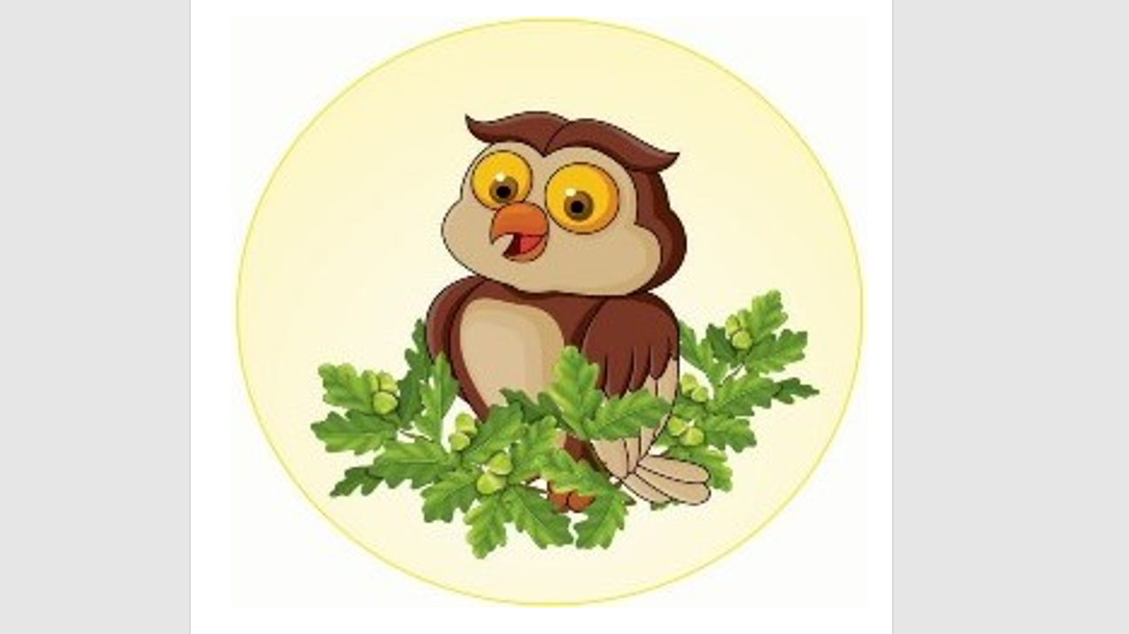 Символика организации